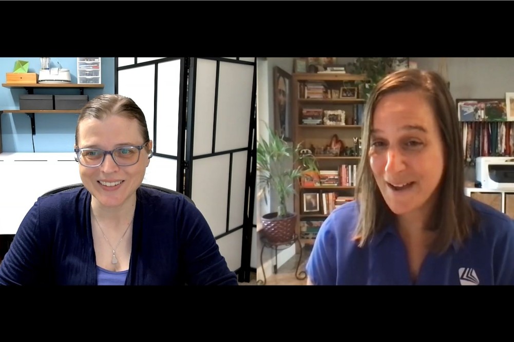 Two women in a web meeting.